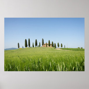 Boerderij in Toscane met cipressen poster