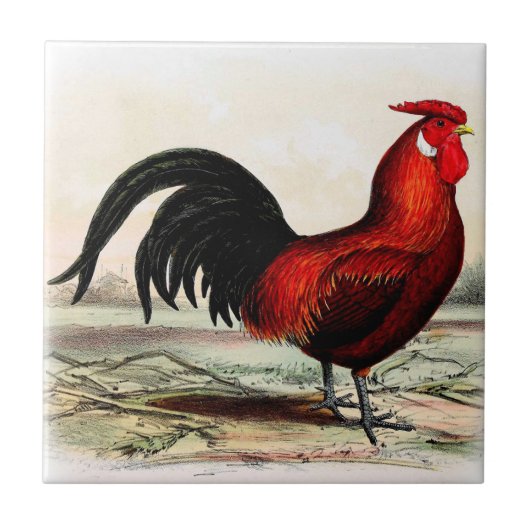 Boerderij keukenroestrooster Tile Red Rooster Tegeltje (Voorkant)