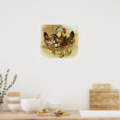  Boerderij kippen Poster (Keuken)