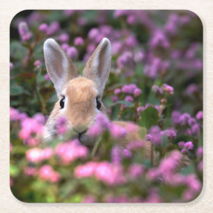 Boerderij konijn vierkante kartonnen onderzetter