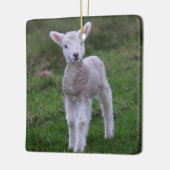 Boerderij lammeren Baby Keramisch Ornament (Links)