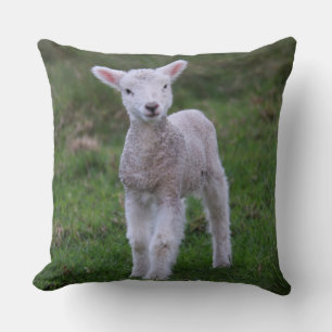Boerderij lammeren Baby Kussen