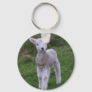 Boerderij lammeren Baby Sleutelhanger