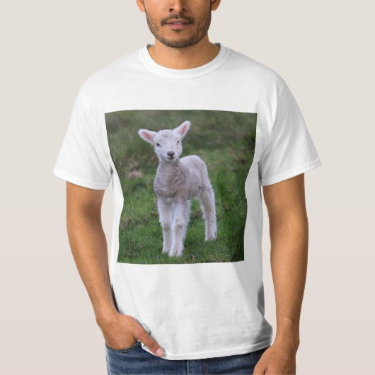 Boerderij lammeren Baby T-shirt (Voorkant)