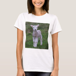Boerderij lammeren Baby T-shirt