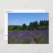 Boerderij lavender briefkaart (Voorkant / Achterkant)