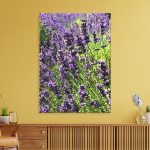 Boerderij lavender canvas afdruk (Insitu (Woonkamer))