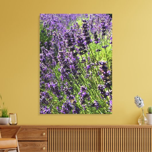 Boerderij lavender canvas afdruk (Insitu (Woonkamer))