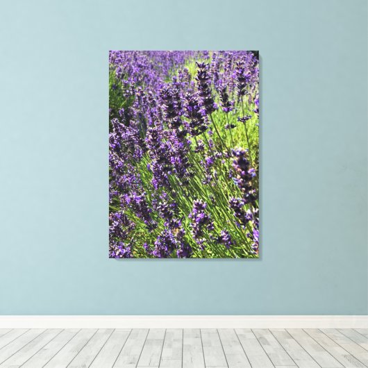 Boerderij lavender canvas afdruk (Insitu (Houten vloer))