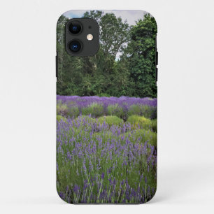 Boerderij lavender iPhone 11 hoesje