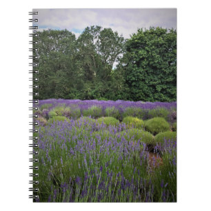 Boerderij lavender notitieboek