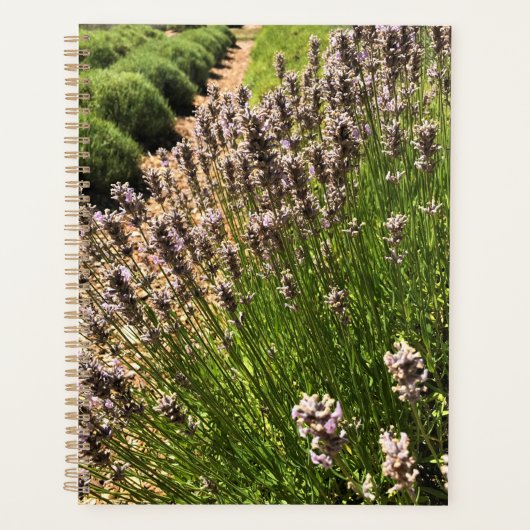Boerderij lavender planner (Voorkant)