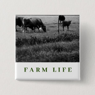 Boerderij leven, koe familie vierkante button 5,1 cm