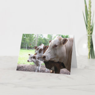 Boerderij Life (7416) - Koeien Kaart
