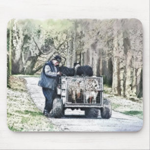 BOERDERIJ LIFE MUISMAT