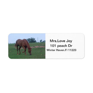 Boerderij Paard Adres Labels
