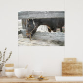 Boerderij PaardenHumor Poster (Keuken)