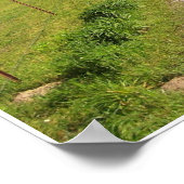 Boerderij Poster (Hoek)