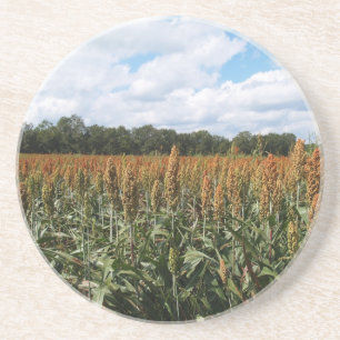 Boerderij reeks-Sorghum gebied-Onderzetter Zandsteen Onderzetter