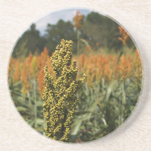 Boerderij reeks-Sorghum gebied-Onderzetter Zandsteen Onderzetter