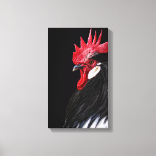 Boerderij Rooster Black Red White Chicken Photo Canvas Afdruk
