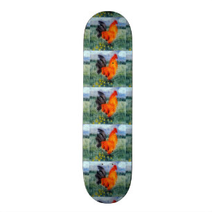 Boerderij Rooster kippen Skateboard