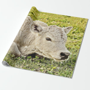 Boerderij Rustisch land ontkoppeling Cadeaupapier