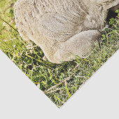 Boerderij Rustisch land ontkoppeling Tissuepapier (Detail)