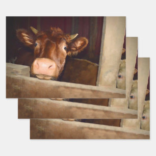 Boerderij van Cow Rustic Brown Country Barn Funny Inpakpapier Vel