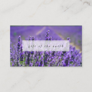 Boerderij van de lavender Gift of the Earth Essent Visitekaartje