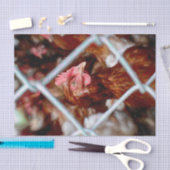 Boerderij van kippen  stijl tissuepapier (Craft)