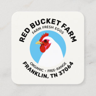Boerderij van kippen Vers ei Modern Vierkante Visitekaartje