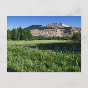 Boerderij van Palisade Briefkaart