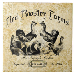 Boerderij van pluimvee Tegeltje