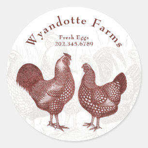 Boerderij van pluimvee Wyandotte Kippen, verse eie Ronde Sticker