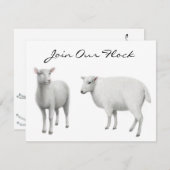 Boerderij van schapen kaart (Voorkant / Achterkant)