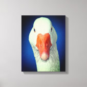 Boerderij van witte gans canvas afdruk (Voorkant)