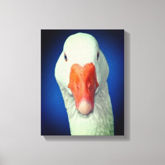 Boerderij van witte gans canvas afdruk (Voorkant)