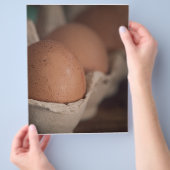 Boerderij verse eieren flyer (Hand)