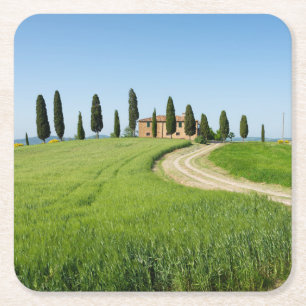 Boerderij villa met cypersbomen in Toscane Vierkante Kartonnen Onderzetter
