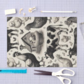  boerderijdieren schilderen tissuepapier (Craft)