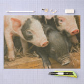 Boerderijen biggen tissuepapier (Craft)