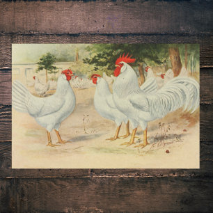 Boerderijen hanen Single Comb White Leghorns Tissuepapier