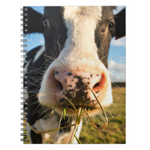 Boerderijen Holstein Koe Kauwing Notitieboek