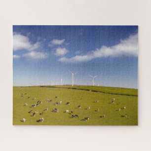 Boerderijen   Koeien nabij Boerderij van de windmo Legpuzzel