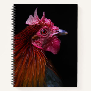 Boerderijen Rooster Head Shot Notitieboek