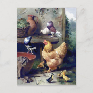 Boerderijen vogels die duiven van eenden schildere briefkaart
