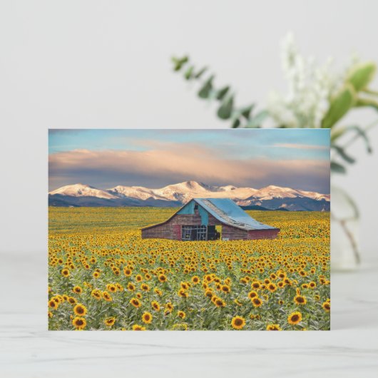 Boerderijen | Zonnebloem Hartelijk dank Bedankkaart (Staand voorkant)