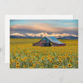 Boerderijen | Zonnebloem Hartelijk dank Bedankkaart (Voorkant / Achterkant)