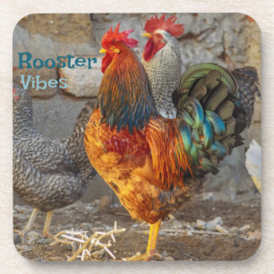 Boerderijleven Haan Vibes Harde Plastic Onderzette Bier Onderzetter